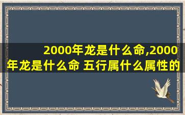 2000年龙是什么命,2000年龙是什么命 五行属什么属性的